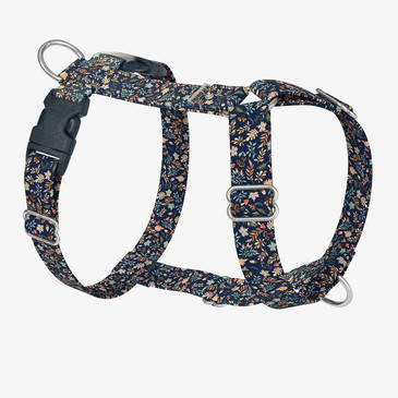 front view of harness front view of harness